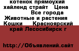 котенок прямоухий  хайленд страйт › Цена ­ 10 000 - Все города Животные и растения » Кошки   . Красноярский край,Лесосибирск г.